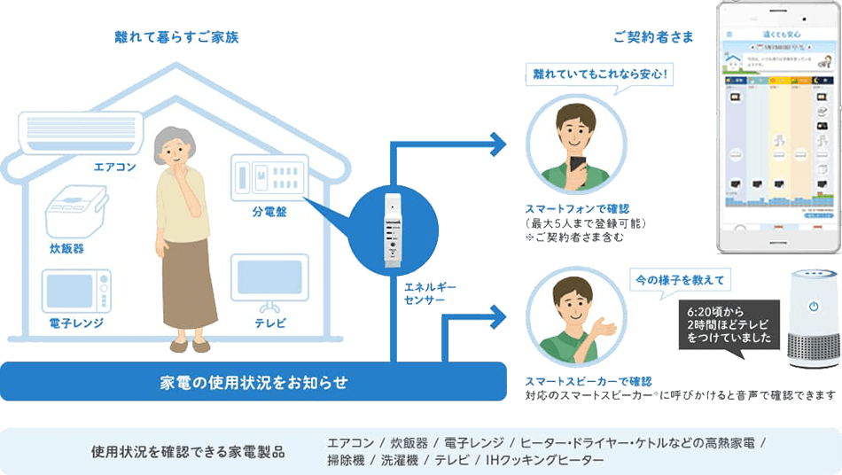 家庭内見守りサービス